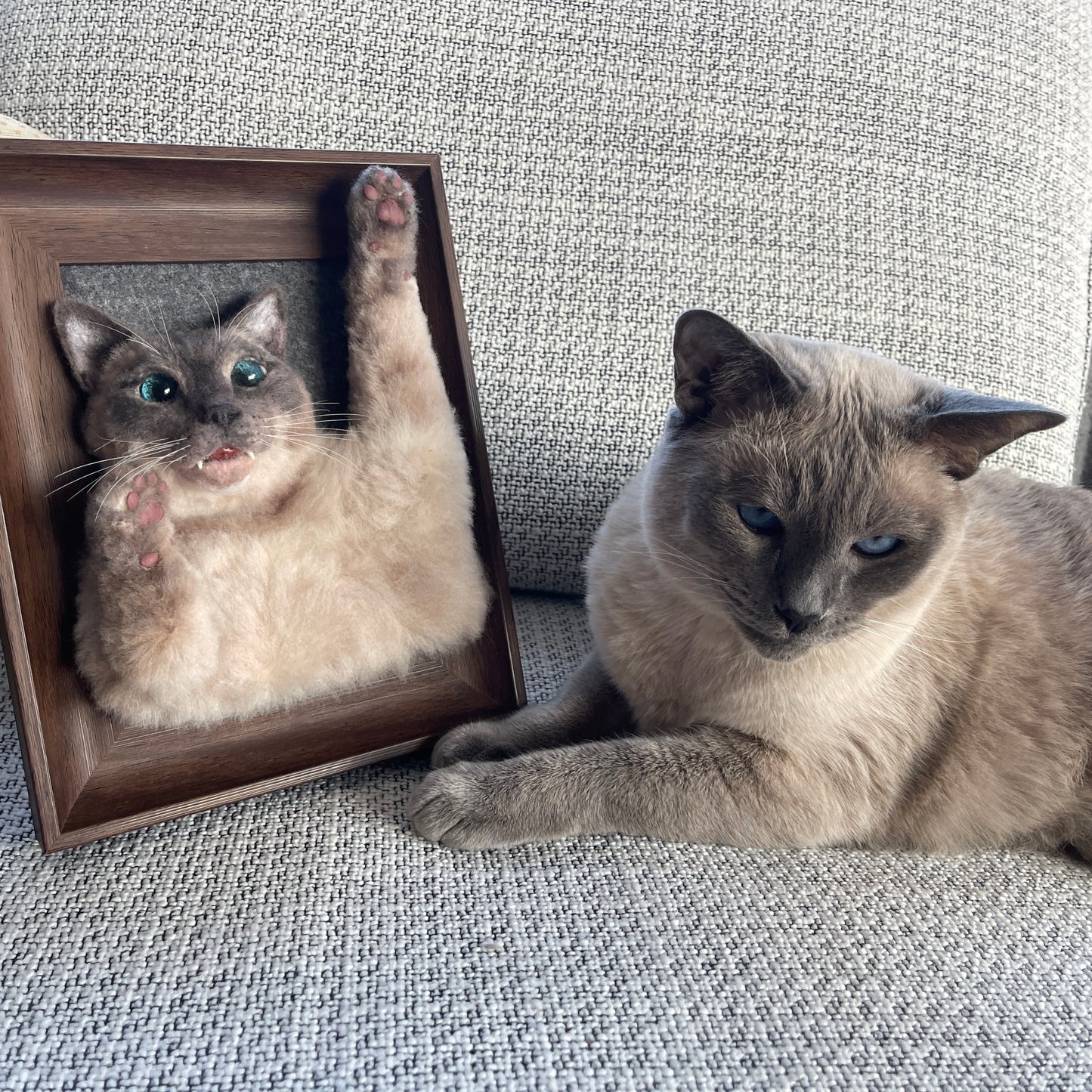 Framed Half-Body Cat Portrait