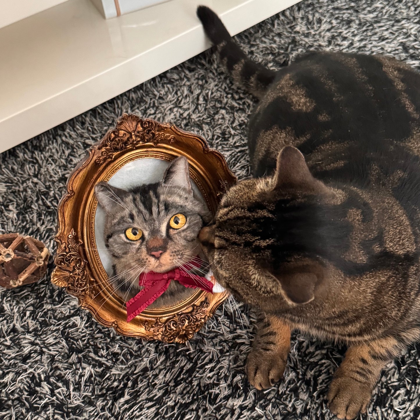 Framed Cat Bust Portrait