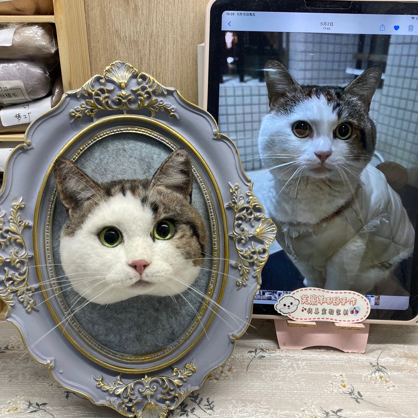 Retrato de cabeza de gato enmarcado