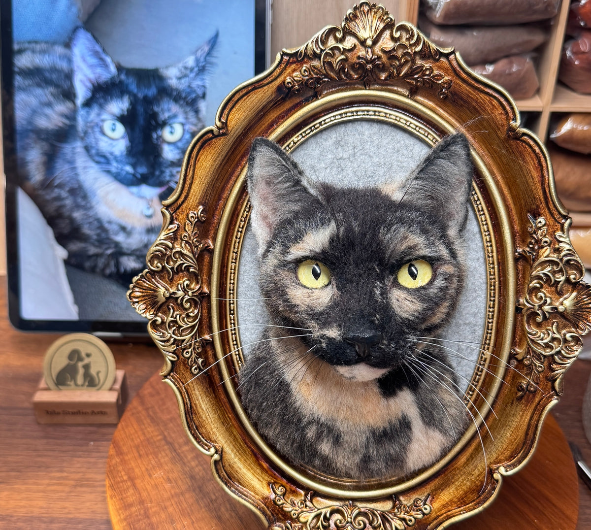 Framed Cat Bust Portrait