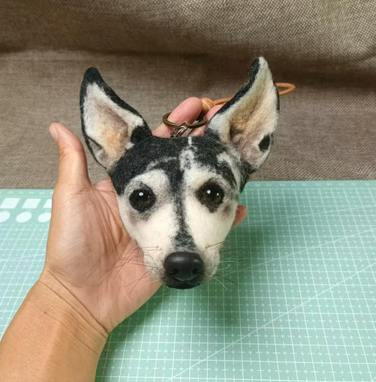 Customized Pet Ornaments